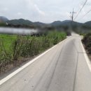 용지보건지소 네이버블로그