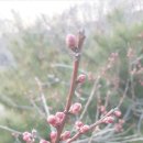 세동산골농원 네이버블로그