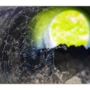 바위목욕탕 이미지