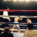 고잔복싱 이미지