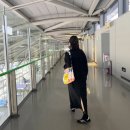 디자인바나나 | [광고] 바나나시스터즈 25SS신상 후기☺️✨