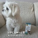 네추럴펫 | 강아지 오메가3 노르딕 내추럴 펫 복용 후기(급여량과 기호성)