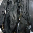 전제만목장 이미지