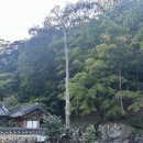 송광사 관광안내소 이미지