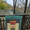 코끼리가든 | 용인 에버랜드 평일 워킹사파리 튤립가든 내돈내산 후기