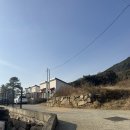 스테이지 이플 | [대구근교 팔공산 애견동반 숙소]경산 와촌 스테이지이플 펜션