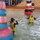 연세대 민족 태권도 이미지