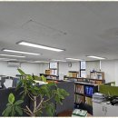 세무법인넥스트 이미지