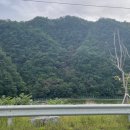 한반도리버2 이미지