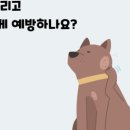 이천종합동물병원 이미지