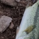 곡성-137 이미지