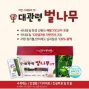 정성을담다 | 벌나무즙 경험 후기, 대관령의 정성을 담다