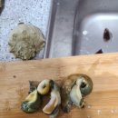 상서치킨
