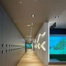 솔라고 명동 이미지