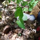 파머스하우스 이미지