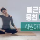 어깨랑 팔, 목 결릴때 이 스트레칭 영상 따라하면 진짜 시원해지잔아 이미지