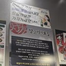 동백양과 이미지