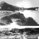 삼양냉동