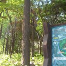 546회 일요걷기(4월22일) 상왕십리역에서 시작하는 무학봉 응봉산개나리길로 서울숲 수도박물관전망대로 향합니다 이미지