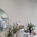 단비네일 이미지