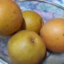 진서농장 이미지