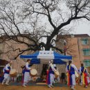 천왕메기 이미지