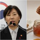 &#34;사양벌꿀→설탕꿀&#34; 이름 바꾼다더니···농식품부 장관 공언 왜 흐지부지됐나 이미지