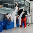 브레인태권도 이미지