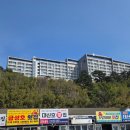 대신호 | [외옹치항 맛집] 대신호 횟집 찐 후기 🥰
