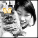 미찌 이미지