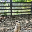 속삭이는 민박 이미지