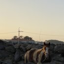 이디하우스 이미지