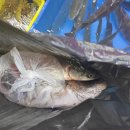 청도상회 이미지