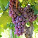 경북재생자원 이미지