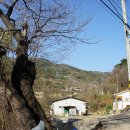 당치회관 이미지