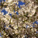 구월시장 이미지