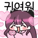 위드다이브 이미지