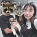 (주)허니플랜트 | 예쁜것은 모두 널 닮아