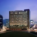 더 이미지