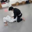 낙동강변로8R-1 | 구미 형곡 팀혼 2026년 1분기 주짓수 합동승급식