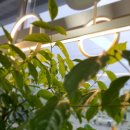 양평한라부동산공인중개사사무소 이미지