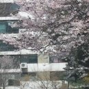 삼덕 공인중개사사무소 이미지