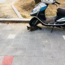 뷰르떼 | 어느 가을날의 오후🌰🍂🍁