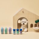 펫마인드 이미지