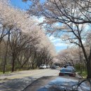 양서친환경도서관 앞 이미지