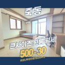 유성나무공인중개사사무소 이미지