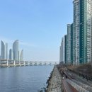 [광안리 요트투어] 와이홀릭 1인 탑승 후기