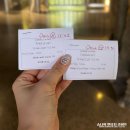 네비 하고 가게 | 모리셔스 카젤라파크 예약 가격 후기 사자 라이언워킹 에코라이더 시간대 추천