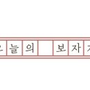 오늘의보자기