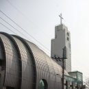새순투어